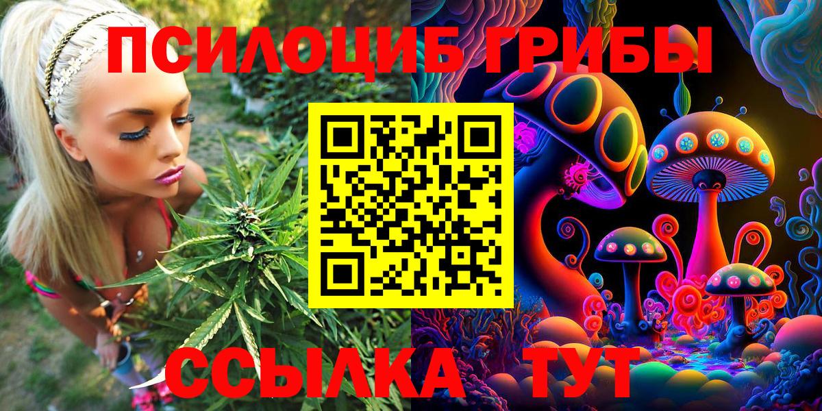 Псилоцибиновые грибы Cubensis Дмитров